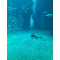 みやび