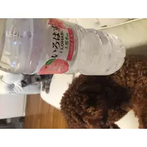 如月 凛