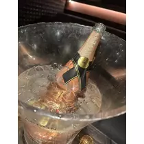 白石 愛莉