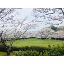 美月