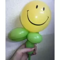紫音