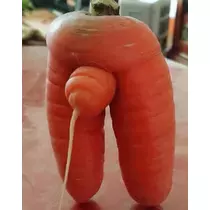 紫音