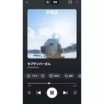 へべれけ酔拳あや
