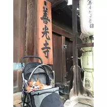 あいら