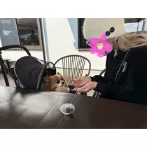 あいら