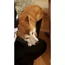 エミ （スタッフ）