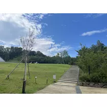 あおい