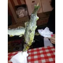 愛矢