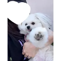 朝陽 凪