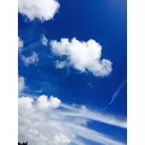 ゆかり