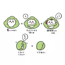 はるせ