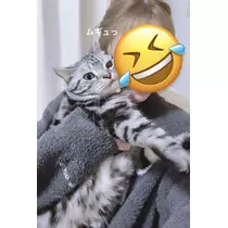 夢乃 サラ