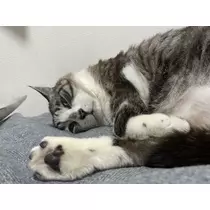 みむ