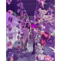 花園 ひめか
