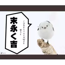 ひな