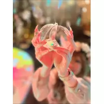 姫花