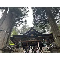 さつき