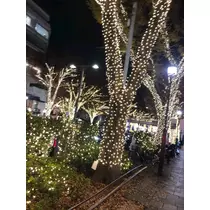 もえ