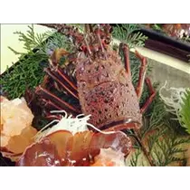 コウ
