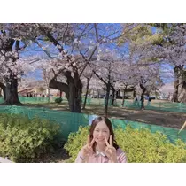 かんな