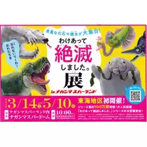 エミ （スタッフ）