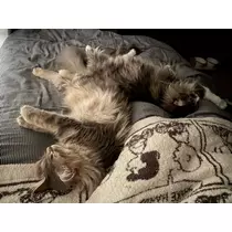 あき
