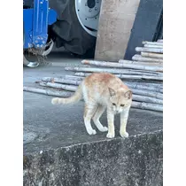 るな