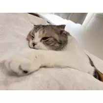 みつき