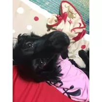 りえ