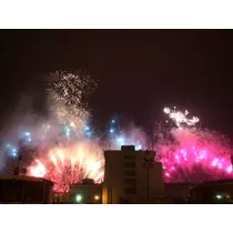 一ノ瀬 なつき