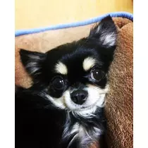 あ