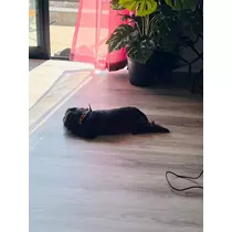 あ