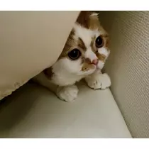 れみ