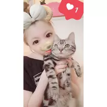 夢乃 サラ