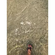 ルア