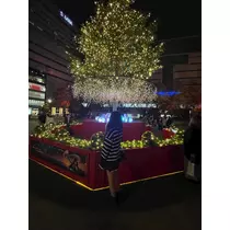 のぞみ