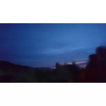 らん