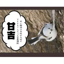 ひな
