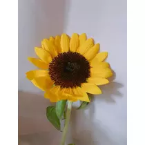 優花