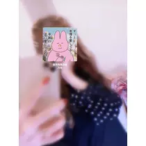 司
