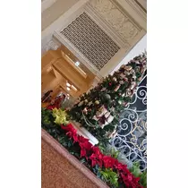 姫花