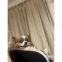 あいら