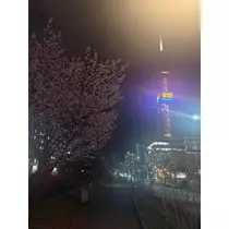 西園寺 ゆきみ