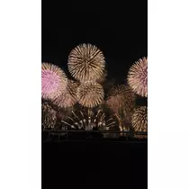 桃園 かんな