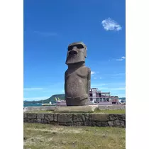 香川 ゆい