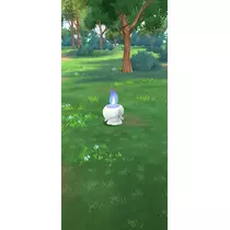 ミイ