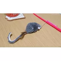 ひな
