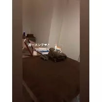 夢乃 サラ