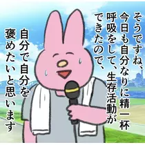 司