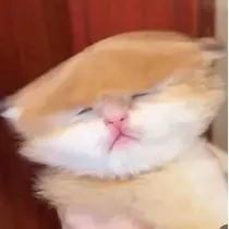 まこと
